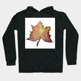 WL Maple Leaf Hoodie